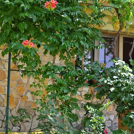 Apartman Mirta Smrika